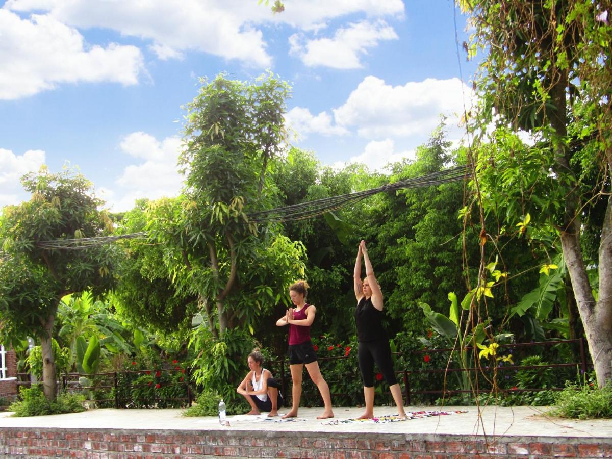 Ninh Binh Mountain Side Homestay & Cafe エクステリア 写真