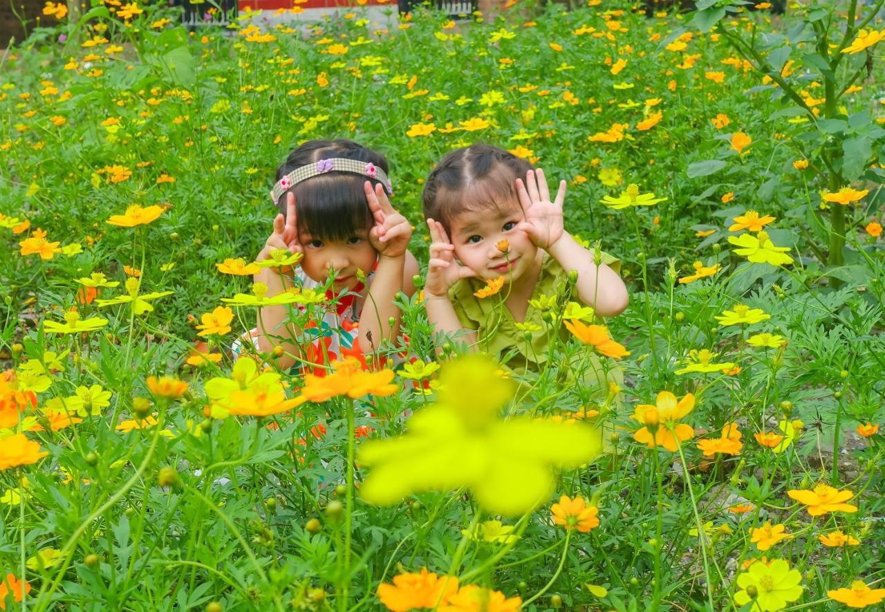 Ninh Binh Mountain Side Homestay & Cafe エクステリア 写真