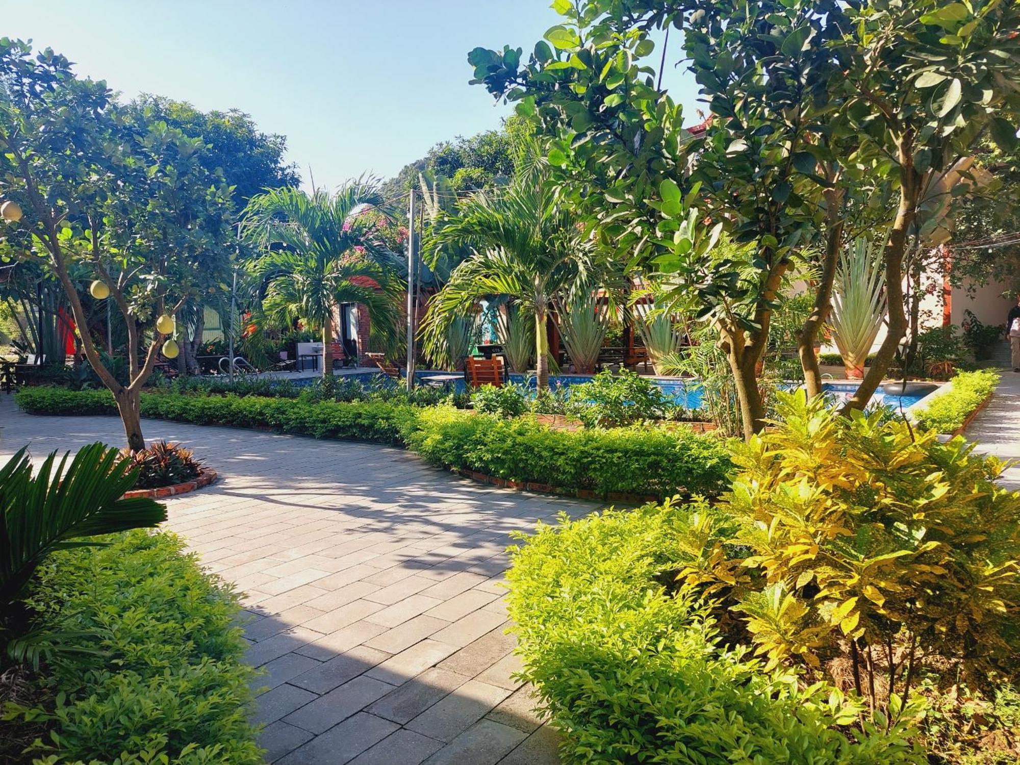 Ninh Binh Mountain Side Homestay & Cafe エクステリア 写真